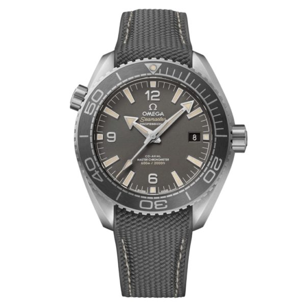 Omega Seamaster Planet Ocean 600M Art 8974