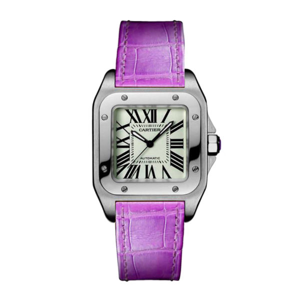Cartier Santos 100 W20126X8